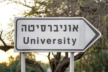 University sign on the road. University road sign, arrow on street on trees background. Closeup sign of University in english and hebrew. Tel Aviv. Israel.
