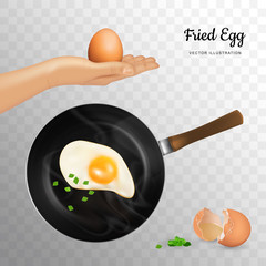 One Fried Egg Isolated on Transparent Background Vector Illustration