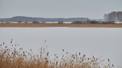 winter forest field and river under the snow