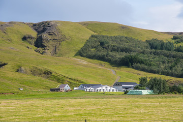Sheep farm on the Icelandic countryside