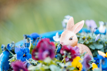 Hase in Blumentopf im Garten