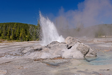 Hot Water and Steam From an Erupting Geyser