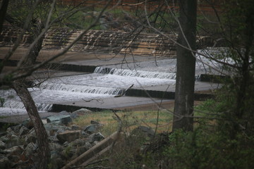 wooden bridge in the forest