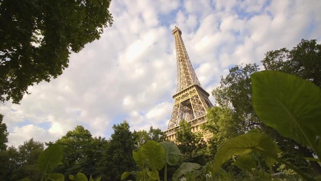 Eiffel Tower With Big Leaves in Foreground