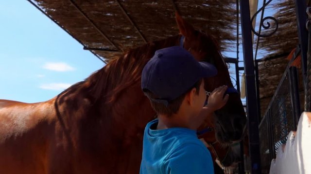 Little boy in a blue baseball hat is touching horse face in a stable