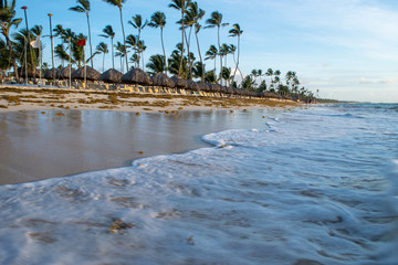Carribean Beach -low angle with surf and palm trees