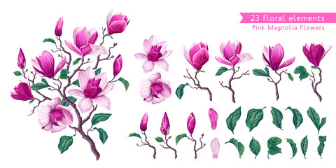  Botanical flowers set with Pink Magnolia. Isolated illustration element. Realistic illustration of a branch spring magnolia plant, large flowers and leaves. High detailed, hand drawn art.