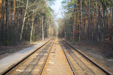Fototapeta premium Railway or tramway track surrounded by trees with bright warm autumn colors. Sunny day.