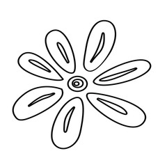 Design icons vector illustration of a flower (chamomile). Hand draw doodle style.Vector