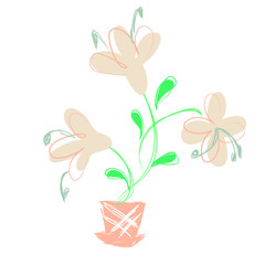 Home blooming  flower pot in pastel colors for decorating designs ,postcards, etc. Vector stock.