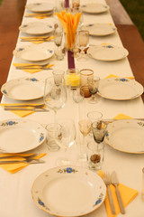 Party dinner table with plates, knives, forks, napkins and glases