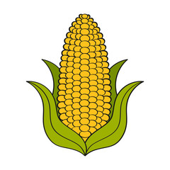 Obraz premium Super Corn Crop-vector Logo Template. Organic Grain Sign. Icons Of Ecology. Biosimilar. A Badge Of Distinction For Agriculture And Nature. Year Of Wheat Illustration