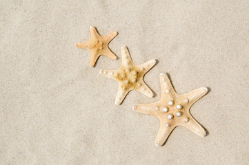 Fototapeta na wymiar Top view of three starfish on sandy beach. Summer vacation concept on a sunny day