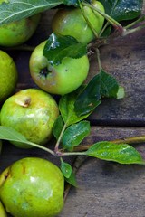 Freshly picked green apples with leaves on a wooden background.