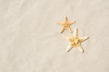 Fototapeta na wymiar Top view of two starfish on sandy beach. Summer vacation concept on a sunny day