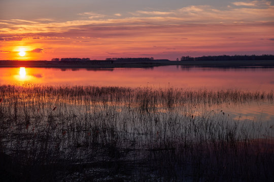 beautiful sunset on the lake © ipfedorova
