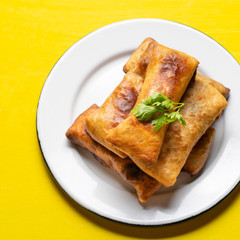 Mexican chimichanga on yellow background