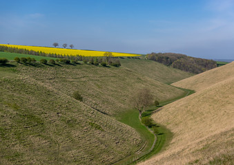 Horse Dale in the Yorkshire Wolds
