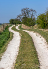 Fototapeta na wymiar Dirt Track leading to a farm