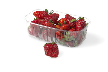 Plastic tray container full of fresh organic strawberries. close - up