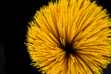Raw spaghetti spiral shot from top on a black background