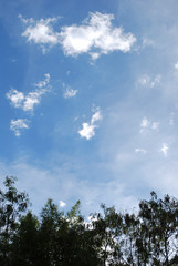 Beauty white cloud and clear blue sky in sunny day texture background