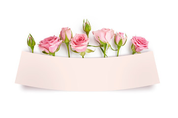 Rose flowers on white background and pink card for your text. Top view of pink roses and rose buds. Happy Mothers Day.