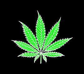 Marijuana graphic design vector art