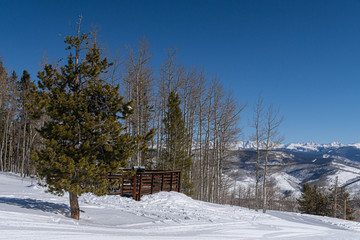 Winter scene in colorado snowy mountains