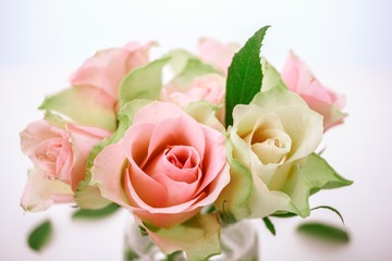 Close up bouquet of pink spring roses in glass vase on white.