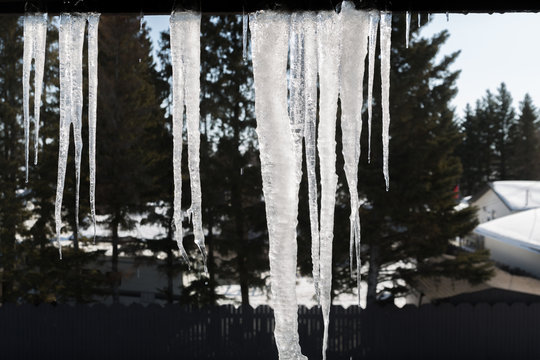 icycles hanging off a roof
