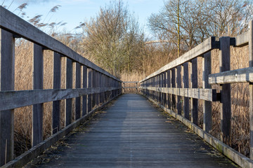 La passerelle en bois dans les marais