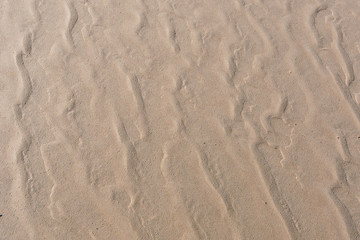 Fototapeta na wymiar Drawing on the fine sea sand. Natural design on the beach.