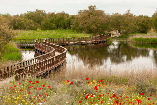 Pasarela de madera sobre el humedal del Parque Nacional de las Tablas de Daimiel.