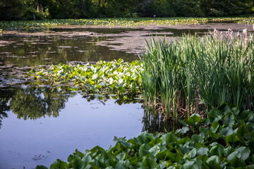 jeziorko © kolorowekadry