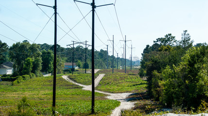 electricity pylons in a field
