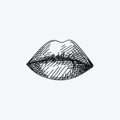 Hand-drawn sketch of closed female lips on a white background. Isolated lips on a white background. Smiling lips. Mouth. Black and white lips.