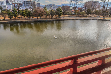 春の松本城の月見櫓からみた風景
