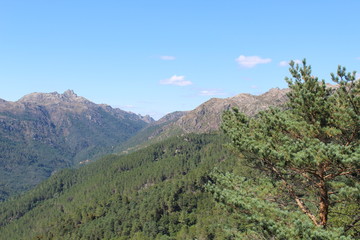 Fototapeta na wymiar green landscape of a mountain