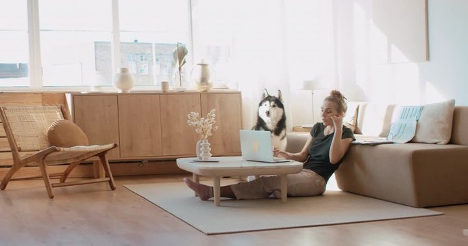 Caucasian female working from home, having a video work call, dog sits near her. Stay home, quarantine remote work. Shot on RED Dragon