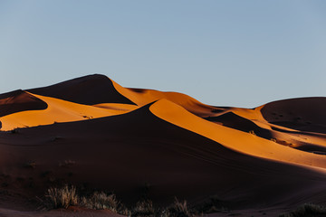 Fototapeta na wymiar sahara dunes