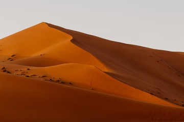 Plakat sand dune in desert
