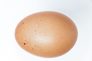 Organic farm egg isolated on white background. Chickens egg from ecologically clean areas