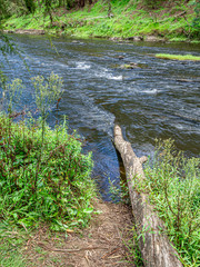 Log Into The River vert