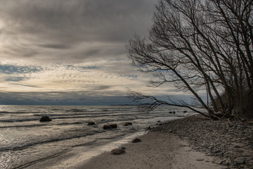 Silhouette of trees on shoreline of Lake Ontario Presquile Park Brighton Ontario Canada