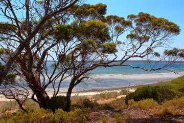 Landscape in Lincoln National Park, South Australia