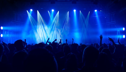 crowd at the rock concert