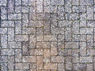 Abstract Texture Background 