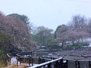 bridge over the river