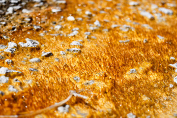 yellow thermal growth texture